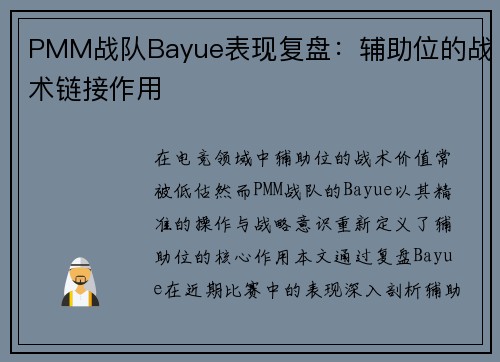 PMM战队Bayue表现复盘：辅助位的战术链接作用